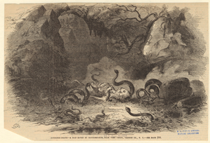 Image ID 807652