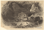 Image ID 807652