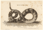 Image ID 807653