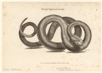 Image ID 807655