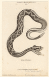 Image ID 807656