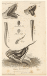 Image ID 807657