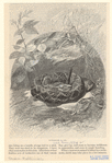 Image ID 807658