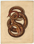 Image ID 807659