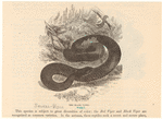 Image ID 807663