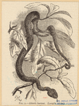 Image ID 807664