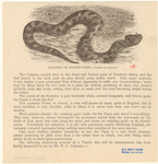 Image ID 807665