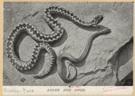 Image ID 807669