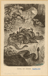 Image ID 807670