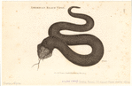Image ID 807673