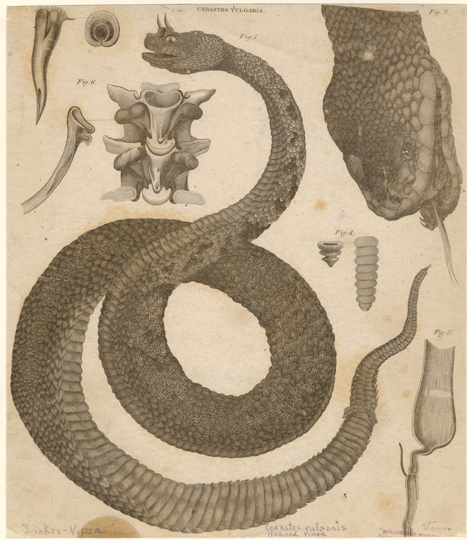 Image ID 807676

