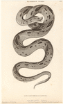 Image ID 807678