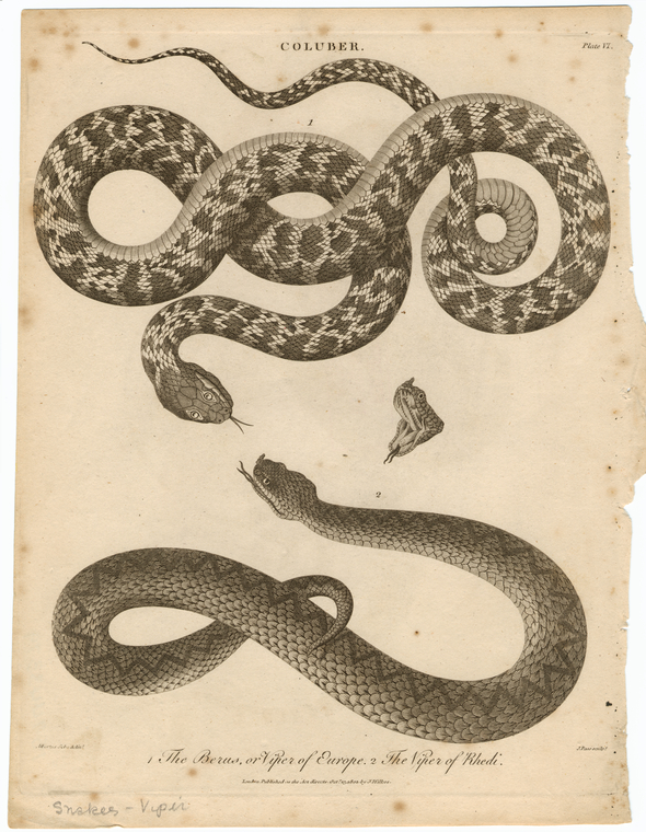 Image ID 807684

