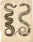 Image ID 807685