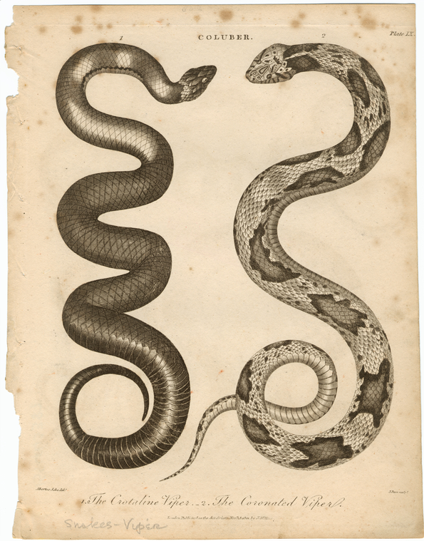 Image ID 807685
