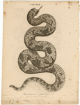 Image ID 807686