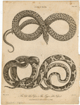 Image ID 807687