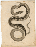 Image ID 807688