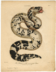 Image ID 807693