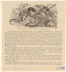 Image ID 807700