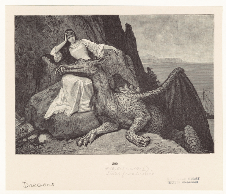 Image ID 807710
