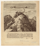 Image ID 807715