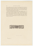 Image ID 807717