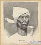 Image ID 807742