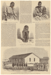 Image ID 807745