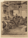 Image ID 807757