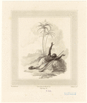 Image ID 807790