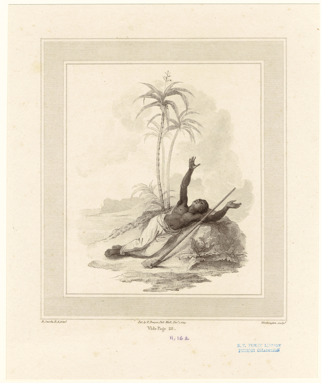 Image ID 807790
