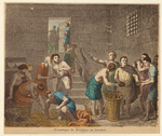 Image ID 807796