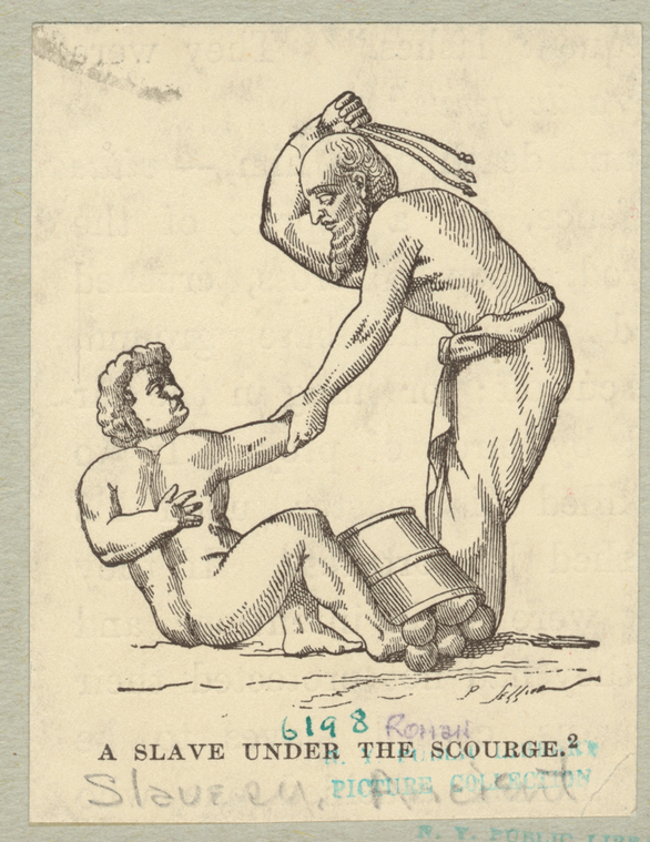 Image ID 807802
