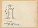 Image ID 807808