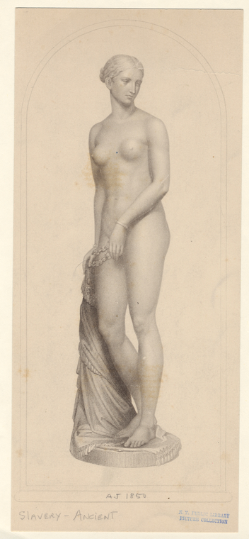 Image ID 807815
