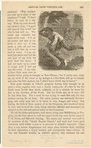 Image ID 807831