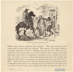 Image ID 807835