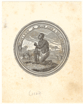 Image ID 807850