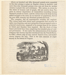Image ID 807858