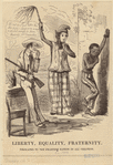 Image ID 807871