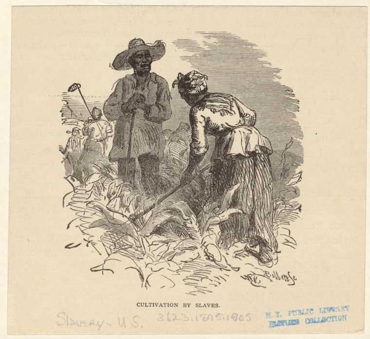 Image ID 807876
