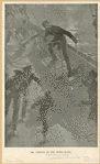 Image ID 807899