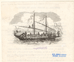Image ID 807912