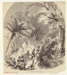 Image ID 807940