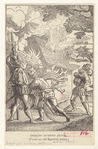 Image ID 807953