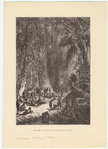 Image ID 807980