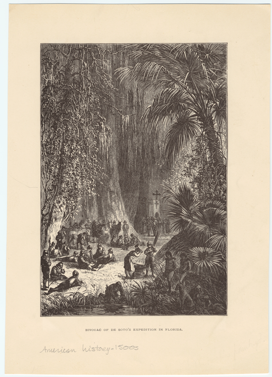 Image ID 807980

