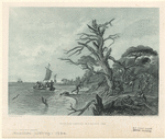 Image ID 807989