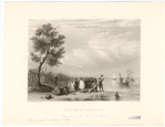 Image ID 807996